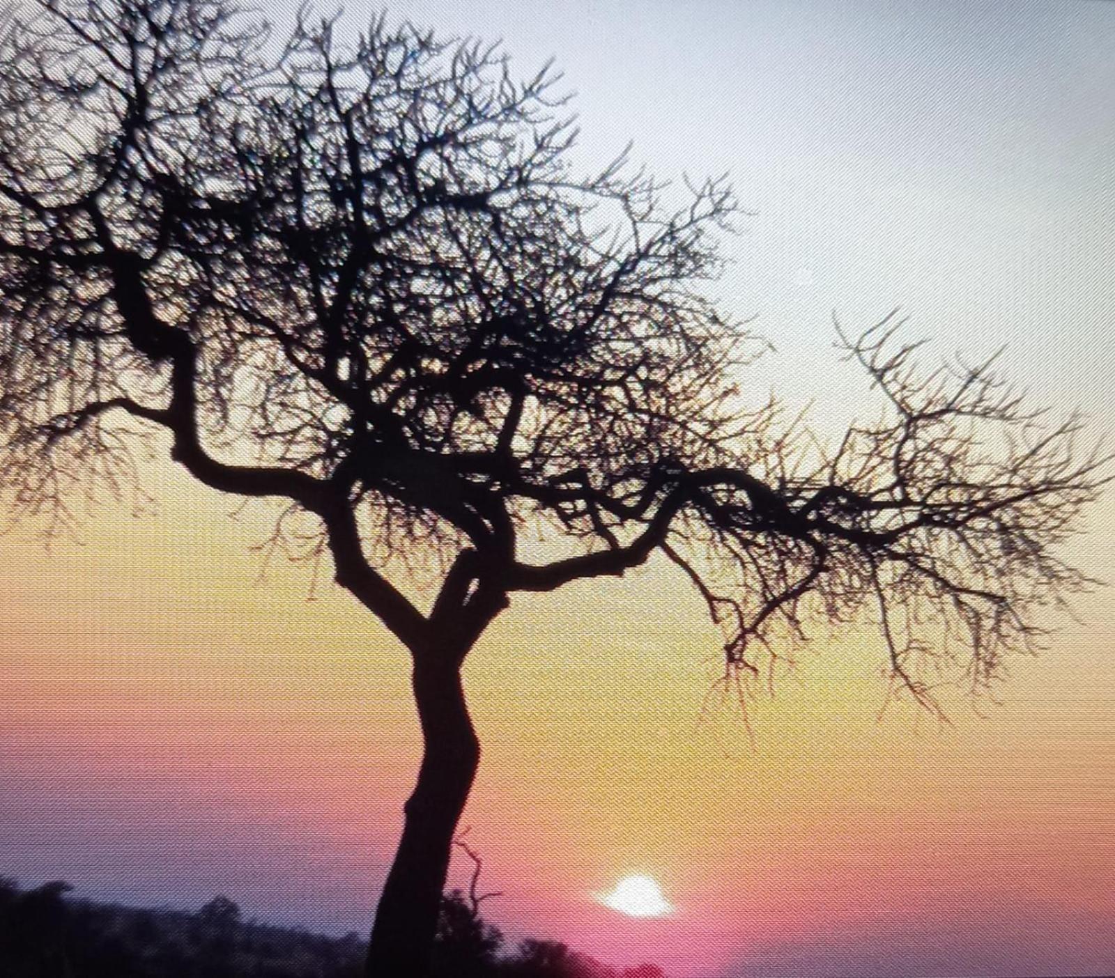 @Nature Luxury Cottages Mbombela Exteriör bild
