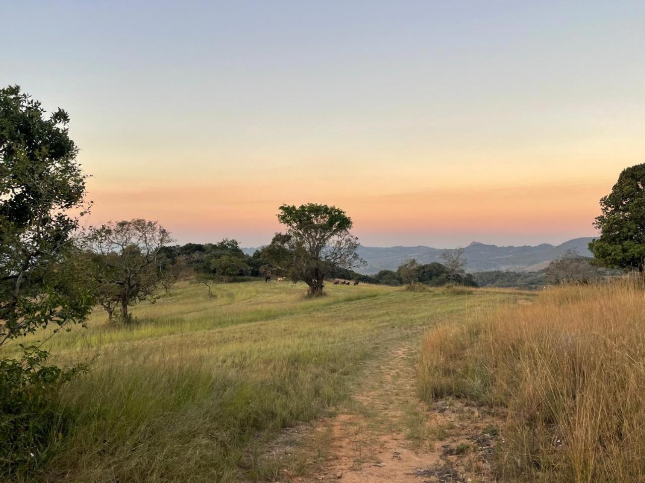 @Nature Luxury Cottages Mbombela Exteriör bild