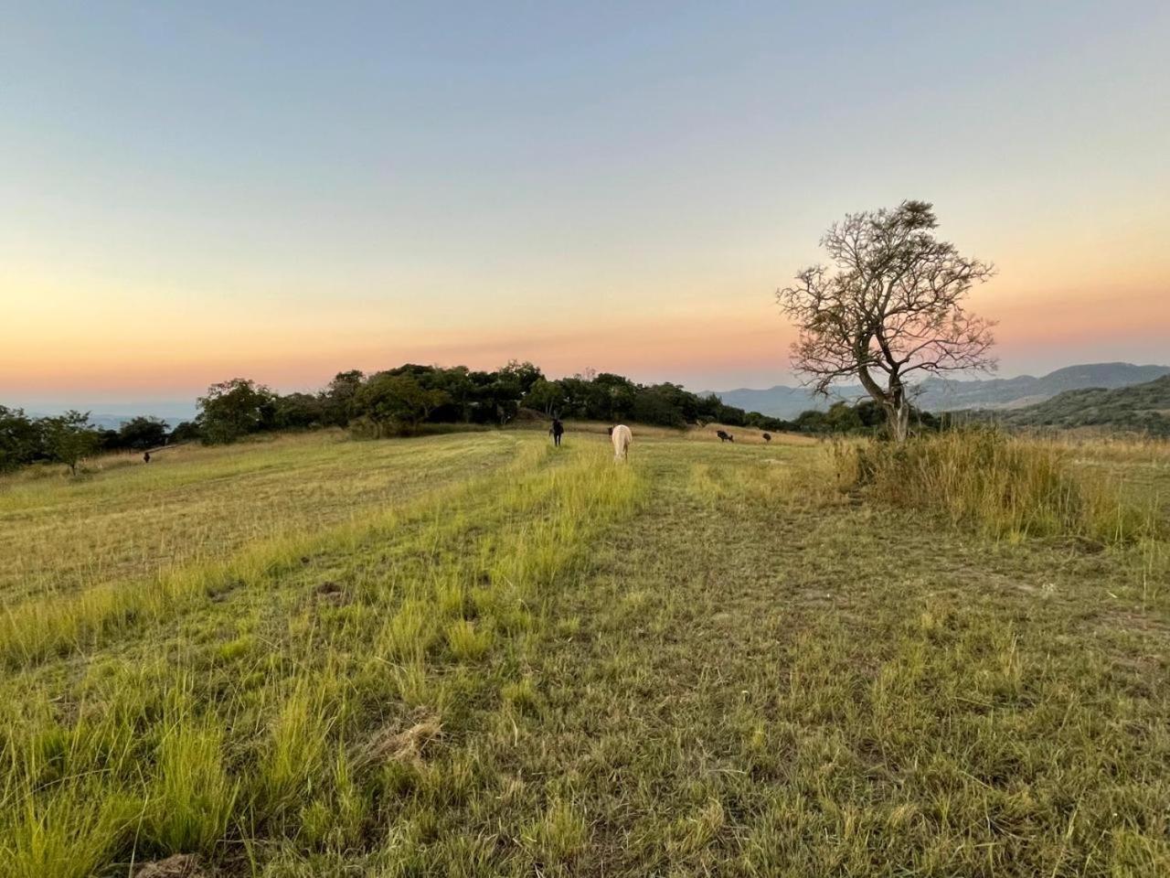 @Nature Luxury Cottages Mbombela Exteriör bild