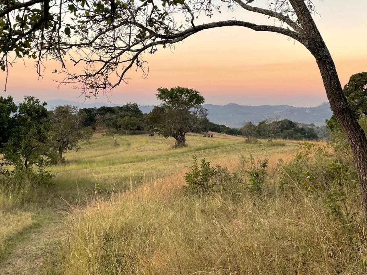 @Nature Luxury Cottages Mbombela Exteriör bild