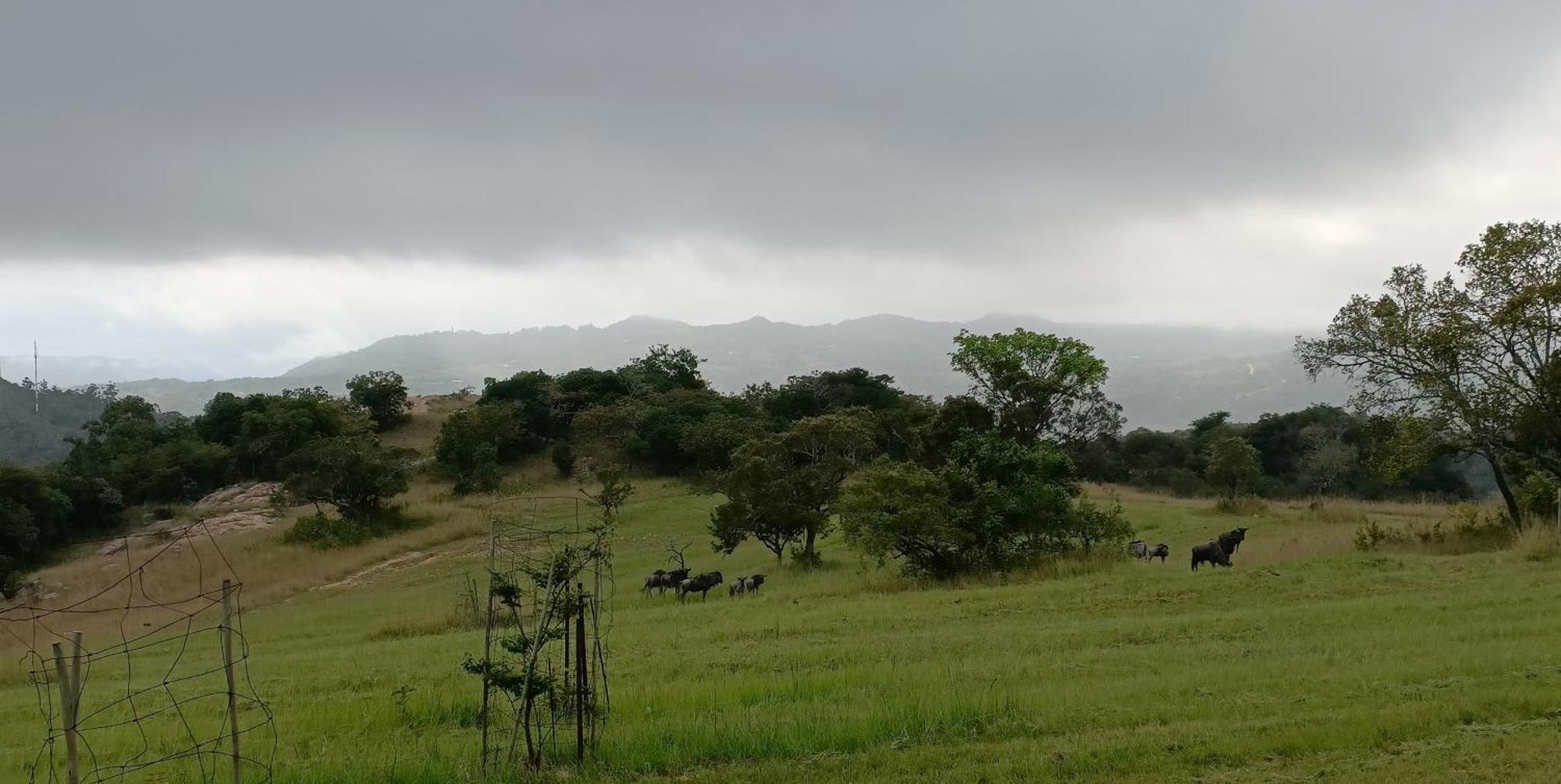 @Nature Luxury Cottages Mbombela Exteriör bild