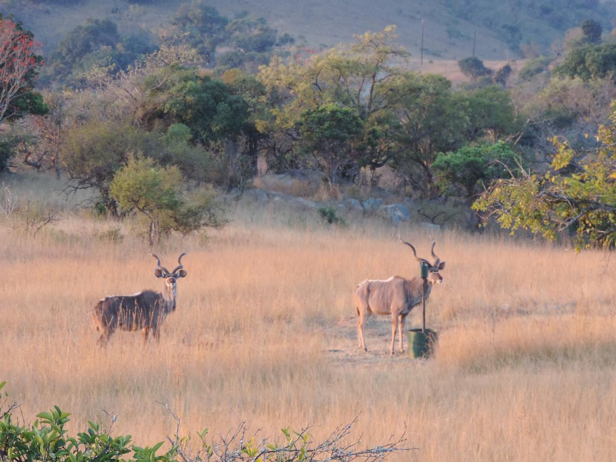 @Nature Luxury Cottages Mbombela Exteriör bild