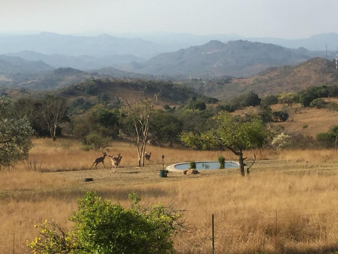 @Nature Luxury Cottages Mbombela Exteriör bild