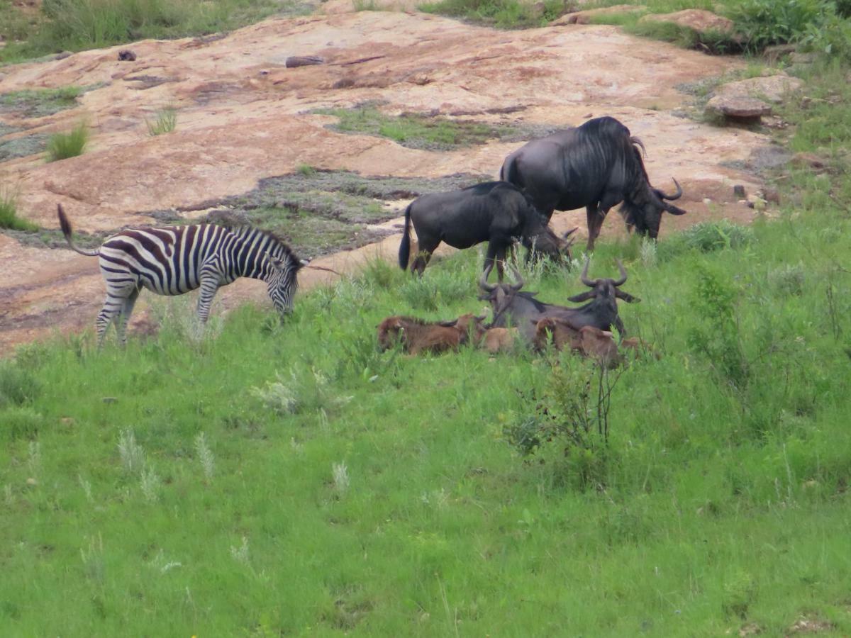 @Nature Luxury Cottages Mbombela Exteriör bild