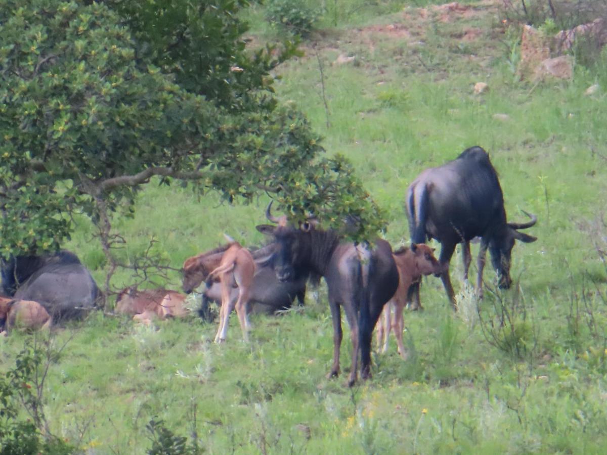 @Nature Luxury Cottages Mbombela Exteriör bild