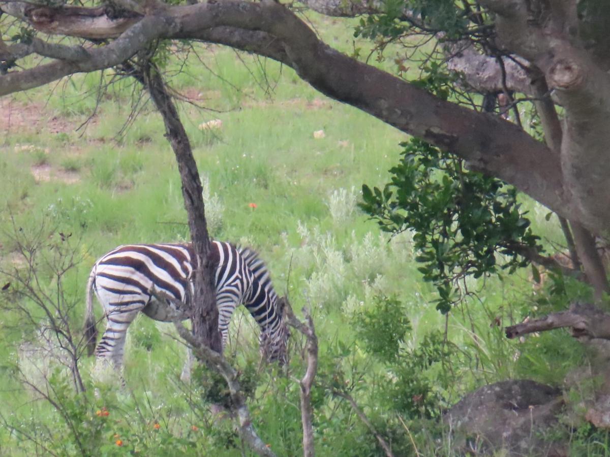 @Nature Luxury Cottages Mbombela Exteriör bild
