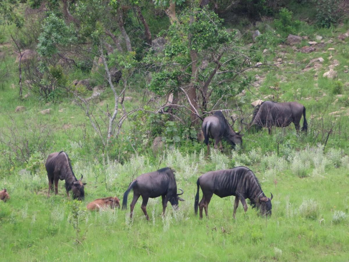 @Nature Luxury Cottages Mbombela Exteriör bild