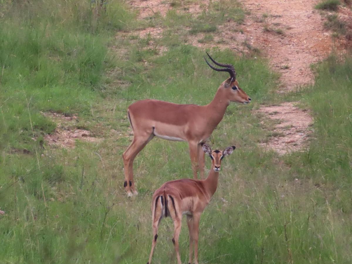 @Nature Luxury Cottages Mbombela Exteriör bild